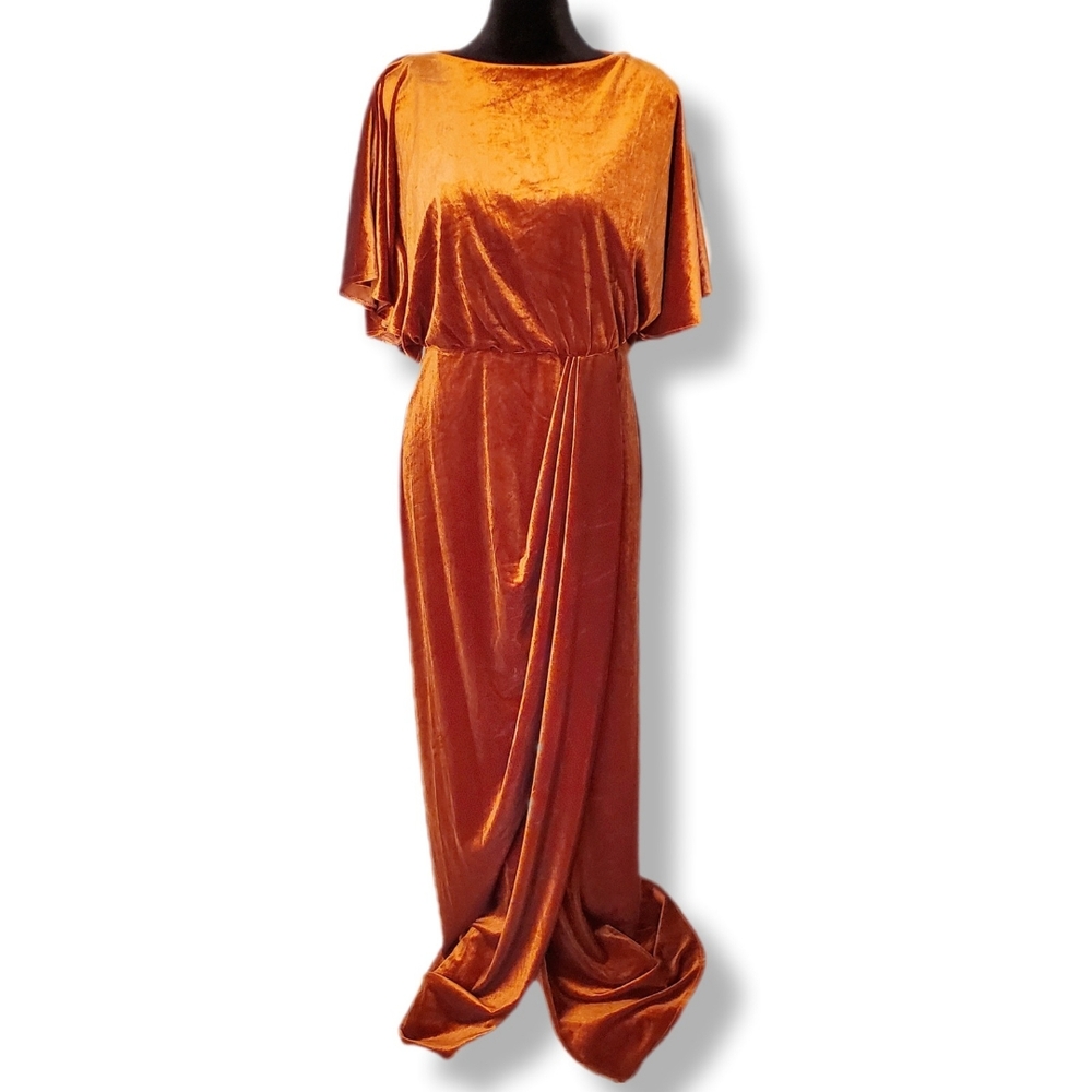 NWT After Six Flutter Sleeve Open-Back Velvet Maxi Dress Sz 10
